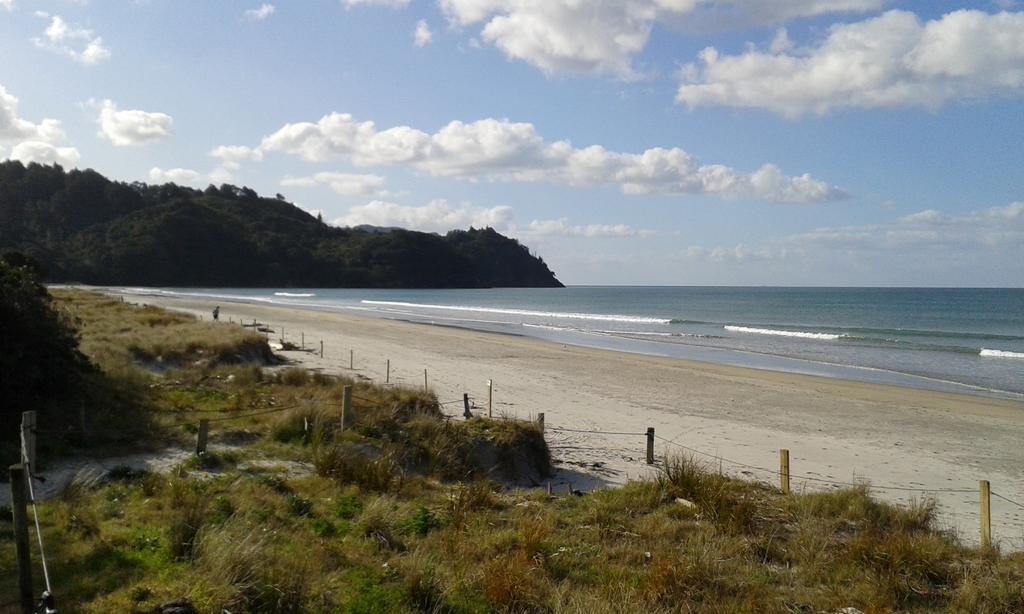Birds Eye View Bed And Breakfast Waihi Exterior photo